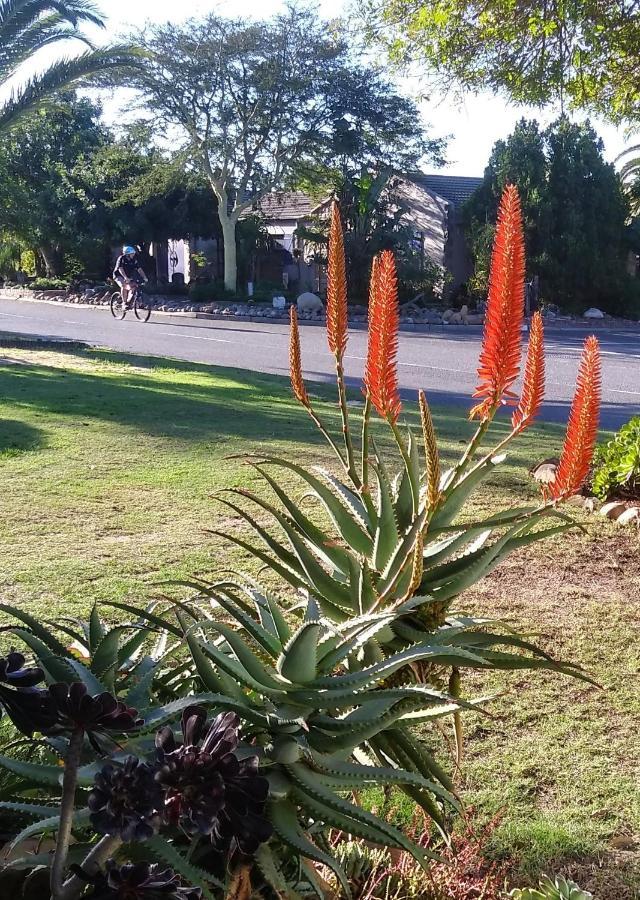 19 On Robyn Lägenhet Durbanville Exteriör bild