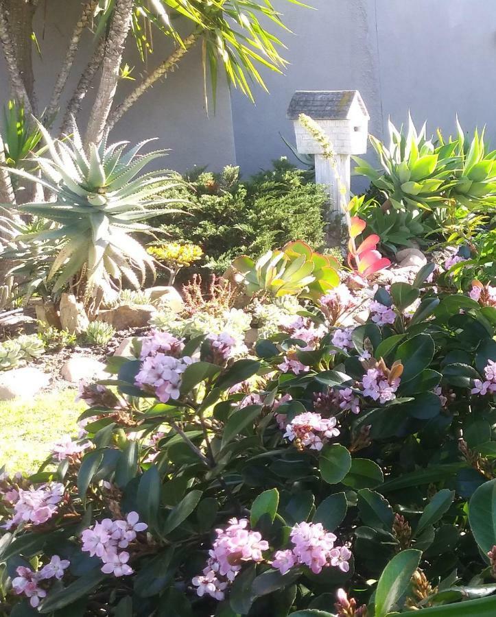 19 On Robyn Lägenhet Durbanville Exteriör bild